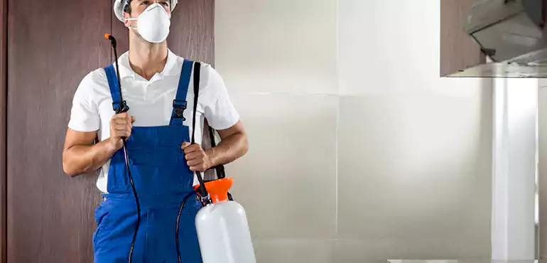 Why San Jose Homeowners Choose Us When Pests Make Selling Difficult