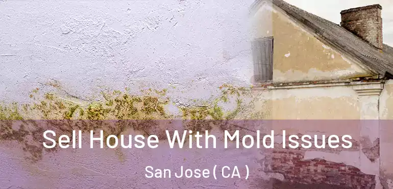  Sell House With Mold Issues San Jose ( CA )